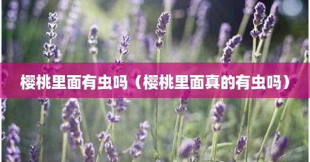 樱桃里面有虫吗（樱桃里面真的有虫吗）