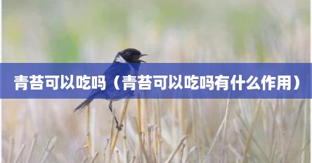 青苔可以吃吗（青苔可以吃吗有什么作用）