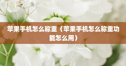 苹果手机怎么称重（苹果手机怎么称重功能怎么用）