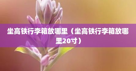 坐高铁行李箱放哪里（坐高铁行李箱放哪里20寸）