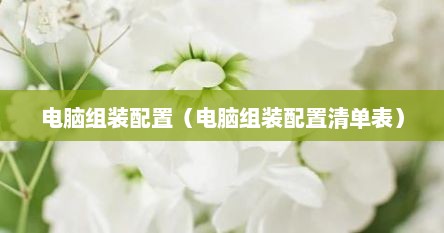 电脑组装配置（电脑组装配置清单表）