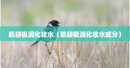 肌研极润化妆水（肌研极润化妆水成分）