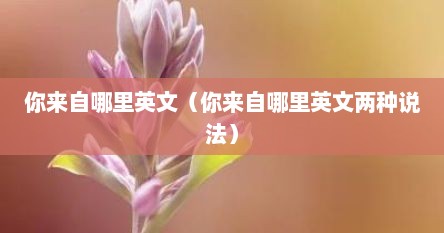 你来自哪里英文（你来自哪里英文两种说法）