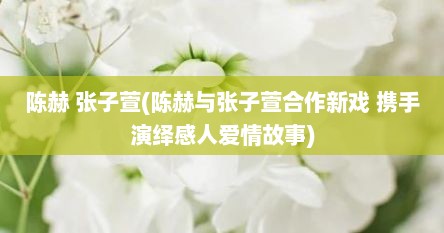 陈赫 张子萱(陈赫与张子萱合作新戏 携手演绎感人爱情故事)