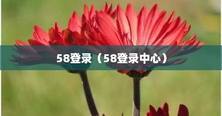 58登录（58登录中心）