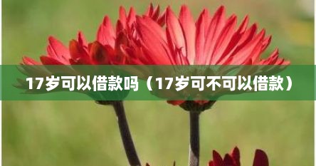 17岁可以借款吗（17岁可不可以借款）