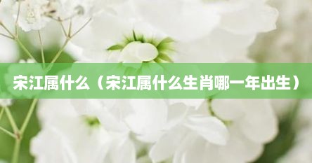 宋江属什么（宋江属什么生肖哪一年出生）