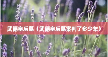 武德皇后墓（武德皇后墓案判了多少年）