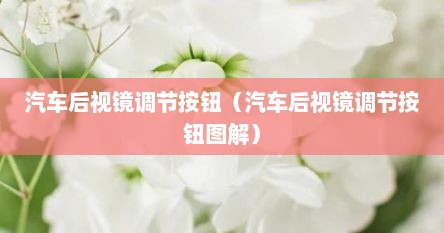 汽车后视镜调节按钮（汽车后视镜调节按钮图解）