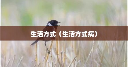 生活方式（生活方式病）