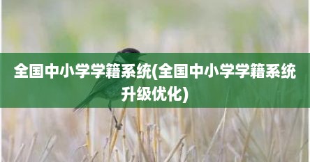 全国中小学学籍系统(全国中小学学籍系统升级优化)