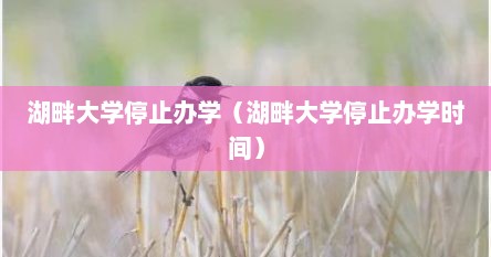 湖畔大学停止办学（湖畔大学停止办学时间）