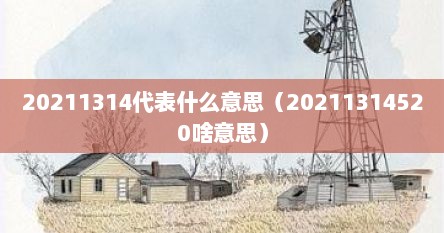 20211314代表什么意思（20211314520啥意思）