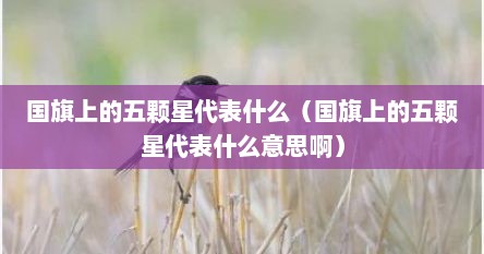 国旗上的五颗星代表什么（国旗上的五颗星代表什么意思啊）