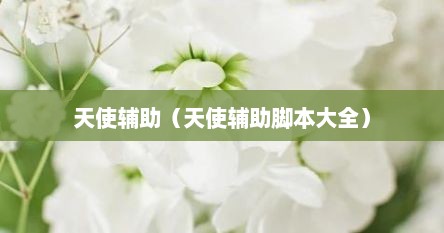 天使辅助（天使辅助脚本大全）