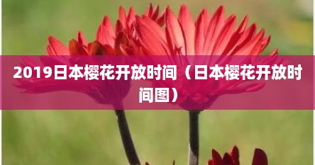 2019日本樱花开放时间（日本樱花开放时间图）