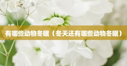 有哪些动物冬眠（冬天还有哪些动物冬眠）