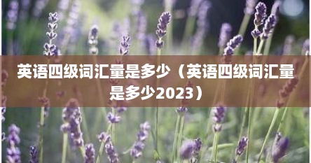 英语四级词汇量是多少（英语四级词汇量是多少2023）