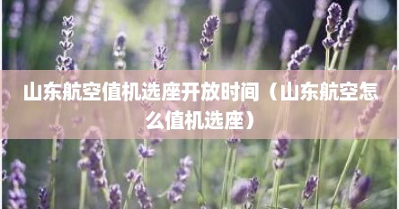 山东航空值机选座开放时间（山东航空怎么值机选座）