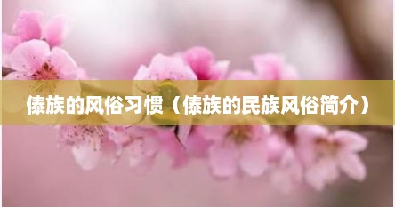 傣族的风俗习惯（傣族的民族风俗简介）