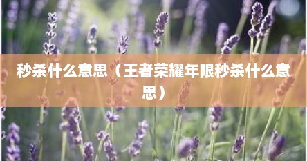 秒杀什么意思（王者荣耀年限秒杀什么意思）