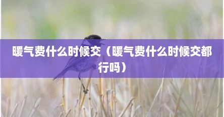 暖气费什么时候交（暖气费什么时候交都行吗）