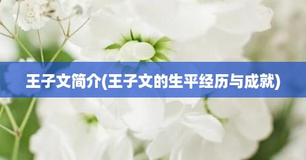 王子文简介(王子文的生平经历与成就)