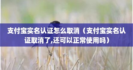 支付宝实名认证怎么取消（支付宝实名认证取消了,还可以正常使用吗）