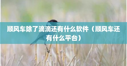 顺风车除了滴滴还有什么软件（顺风车还有什么平台）