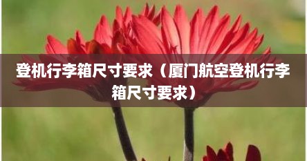 登机行李箱尺寸要求（厦门航空登机行李箱尺寸要求）