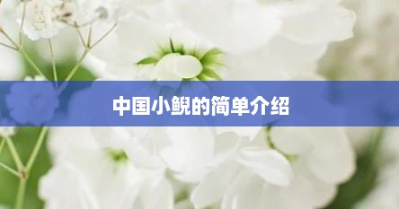 中国小鲵的简单介绍