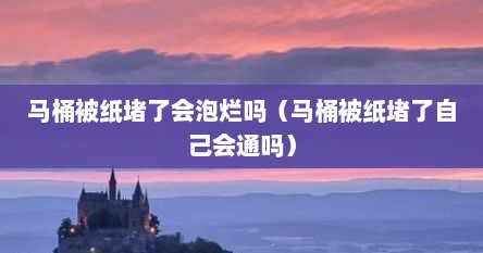 马桶被纸堵了会泡烂吗（马桶被纸堵了自己会通吗）