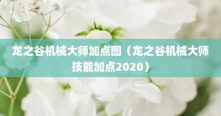 龙之谷机械大师加点图（龙之谷机械大师技能加点2020）