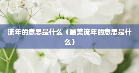 流年的意思是什么（最美流年的意思是什么）