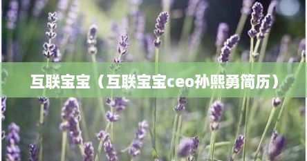 互联宝宝（互联宝宝ceo孙熙勇简历）