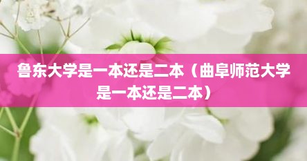 鲁东大学是一本还是二本（曲阜师范大学是一本还是二本）