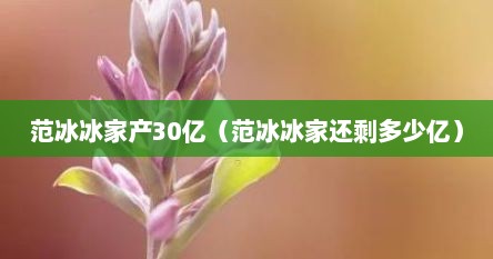 范冰冰家产30亿（范冰冰家还剩多少亿）