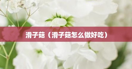 滑子菇（滑子菇怎么做好吃）