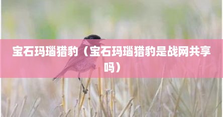 宝石玛瑙猎豹（宝石玛瑙猎豹是战网共享吗）