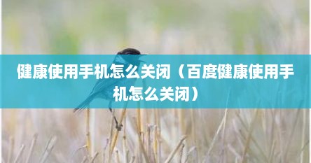 健康使用手机怎么关闭（百度健康使用手机怎么关闭）