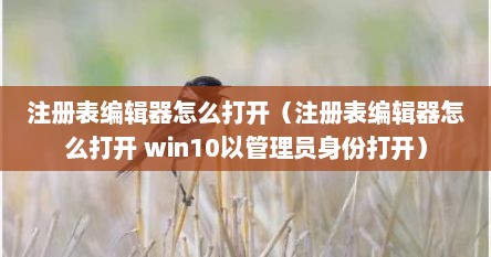 注册表编辑器怎么打开（注册表编辑器怎么打开 win10以管理员身份打开）