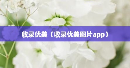 收录优美（收录优美图片app）