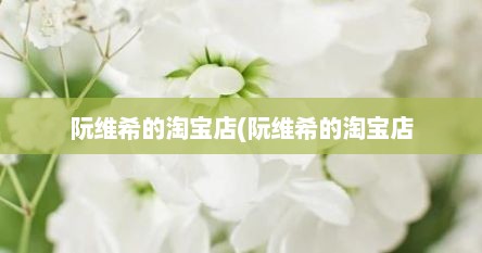 阮维希的淘宝店(阮维希的淘宝店