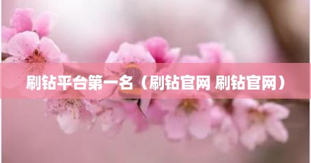 刷钻平台第一名（刷钻官网 刷钻官网）