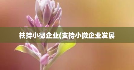 扶持小微企业(支持小微企业发展