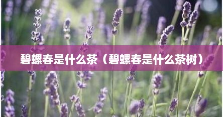 碧螺春是什么茶（碧螺春是什么茶树）