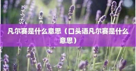 凡尔赛是什么意思（口头语凡尔赛是什么意思）