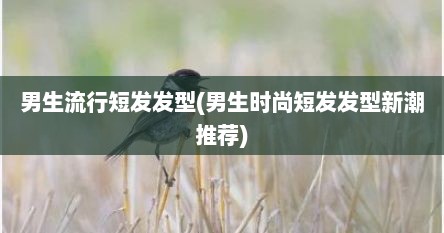 男生流行短发发型(男生时尚短发发型新潮推荐)