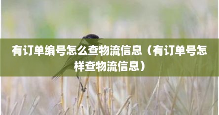 有订单编号怎么查物流信息（有订单号怎样查物流信息）