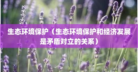 生态环境保护（生态环境保护和经济发展是矛盾对立的关系）